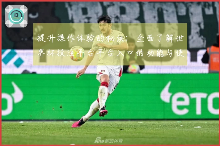 提升操作体验的秘诀：全面了解世界杯投注平台平台入口的功能与使用技巧