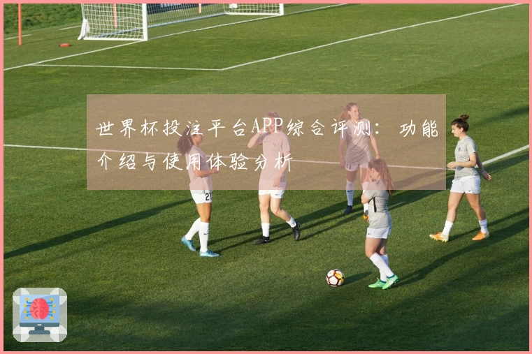 世界杯投注平台APP综合评测：功能介绍与使用体验分析