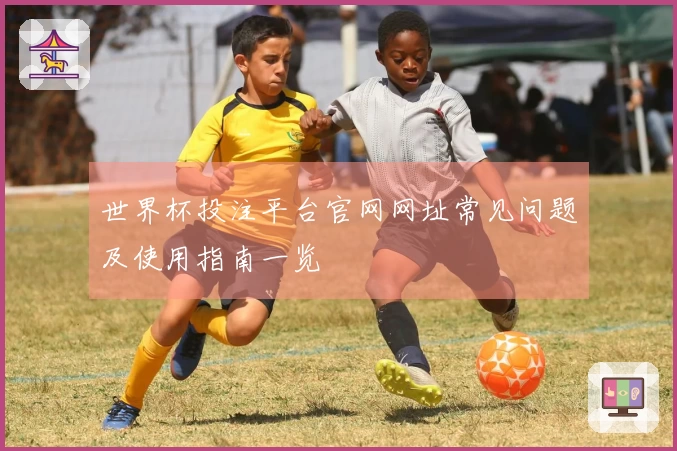 世界杯投注平台官网网址常见问题及使用指南一览