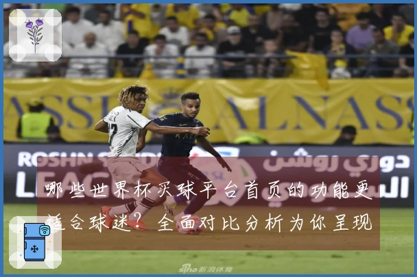 哪些世界杯买球平台首页的功能更适合球迷?全面对比分析为你呈现