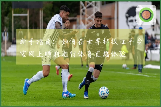 新手指南：如何在世界杯投注平台官网上顺利进行体育直播体验