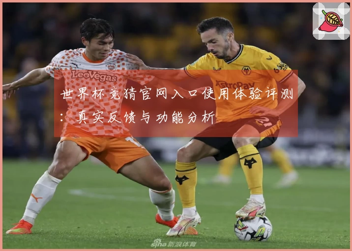 世界杯竞猜官网入口使用体验评测：真实反馈与功能分析