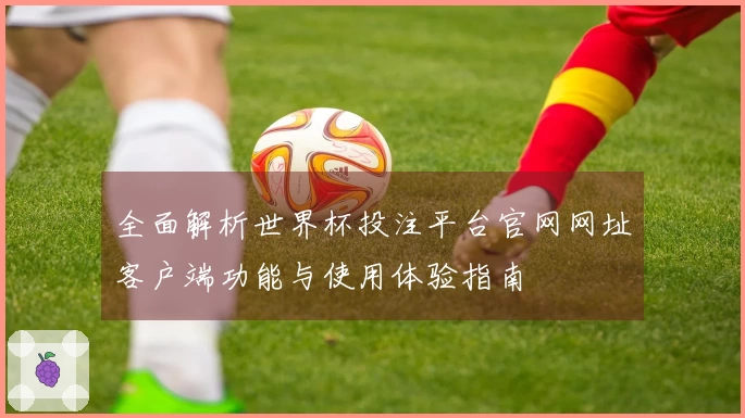 全面解析世界杯投注平台官网网址客户端功能与使用体验指南