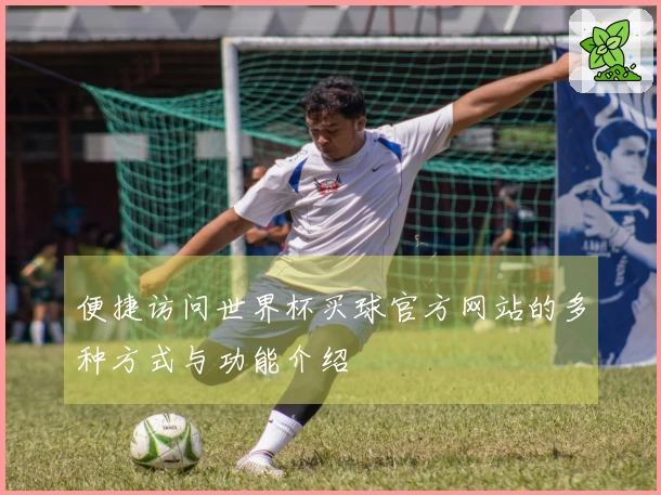 便捷访问世界杯买球官方网站的多种方式与功能介绍