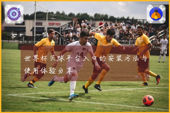 世界杯买球平台入口的安装方法与使用体验分享